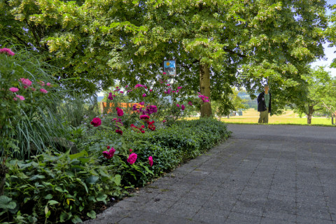 Ein herrlicher warmer Tag, auch die Sch&ouml;nheit der Sch&ouml;pfung will genossen werden