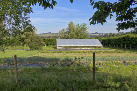Er ist au&szlig;erdem Gem&uuml;segarten f&uuml;r unsere K&uuml;che und Kr&auml;utergarten f&uuml;r zahlreiche Kr&auml;tuterprodukte