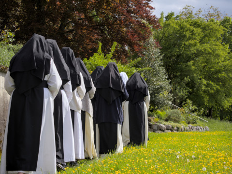 ... und genie&szlig;en zudem die Sch&ouml;nheit der Natur, in der wir leben