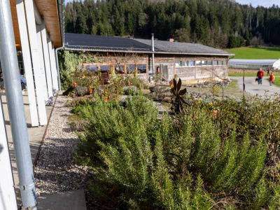 08ef15ee Zisterziensterinnenabtei Mariastern | Klosterladen