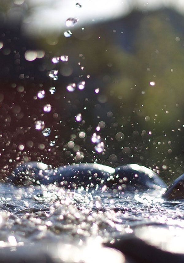 2dfe0c53 Zisterziensterinnenabtei Mariastern | Willkommen